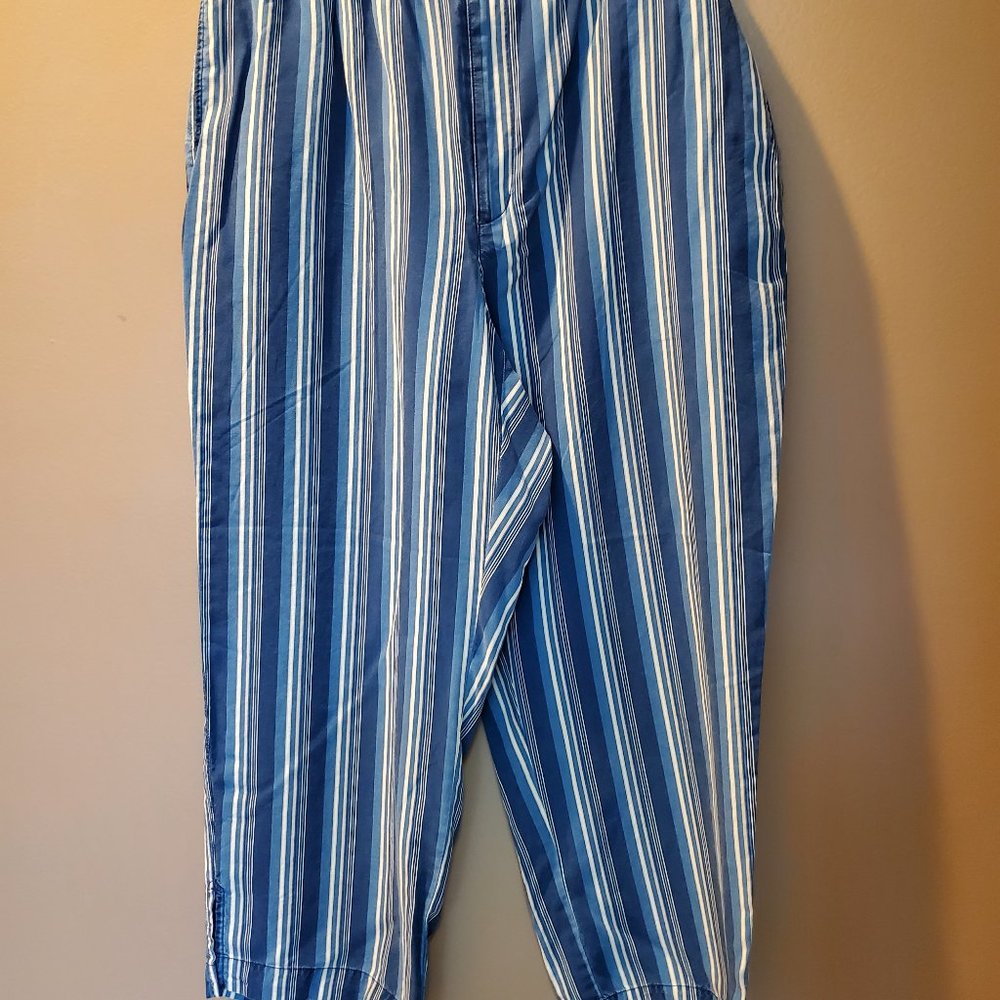 LIZ CLAIBORNE PETITES BLUE STRIPE PANTS